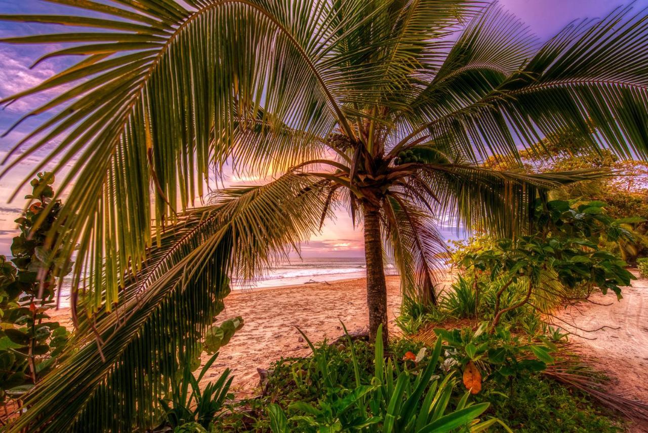 Oasis Bluff Beach Bocas Town Exterior foto