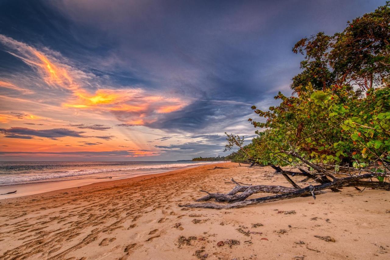 Oasis Bluff Beach Bocas Town Exterior foto