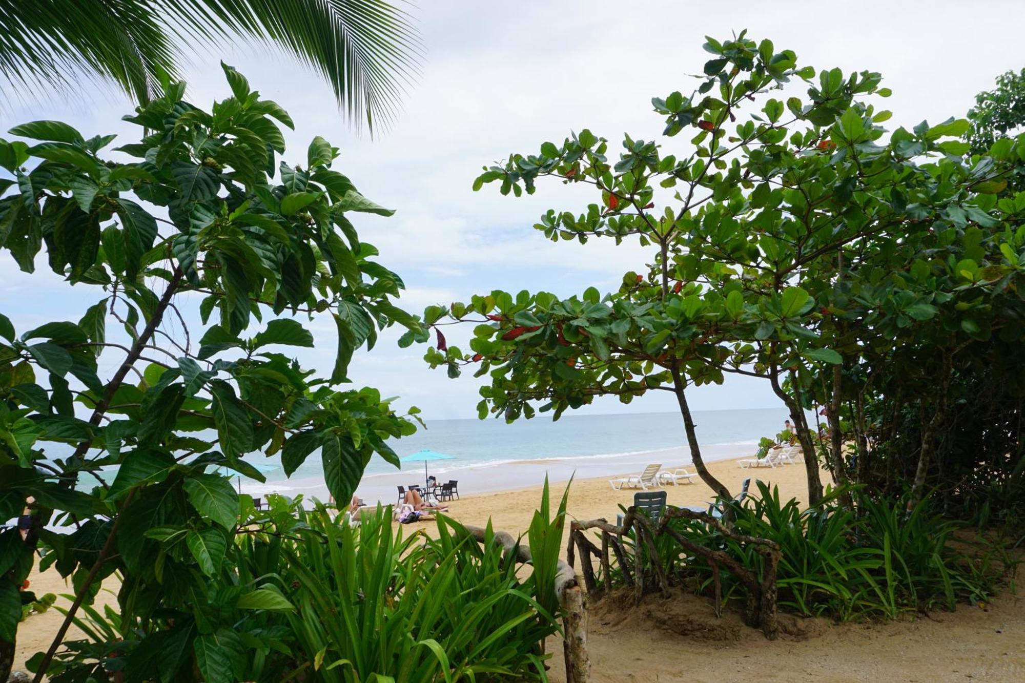 Oasis Bluff Beach Bocas Town Exterior foto