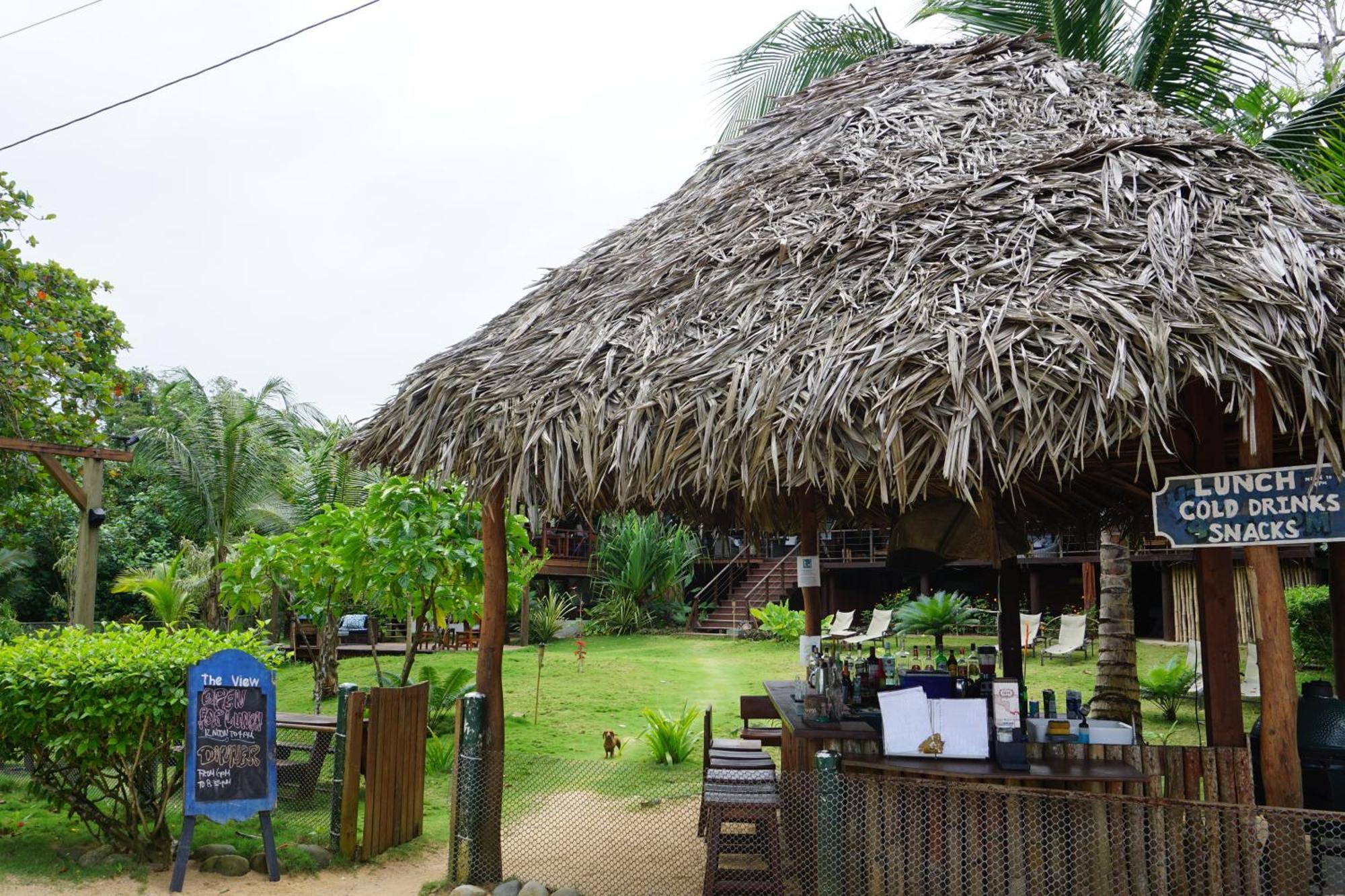 Oasis Bluff Beach Bocas Town Exterior foto